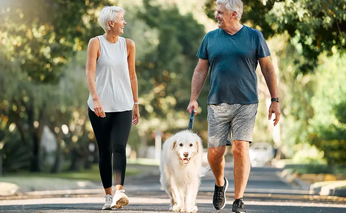 elderly copule walking dog